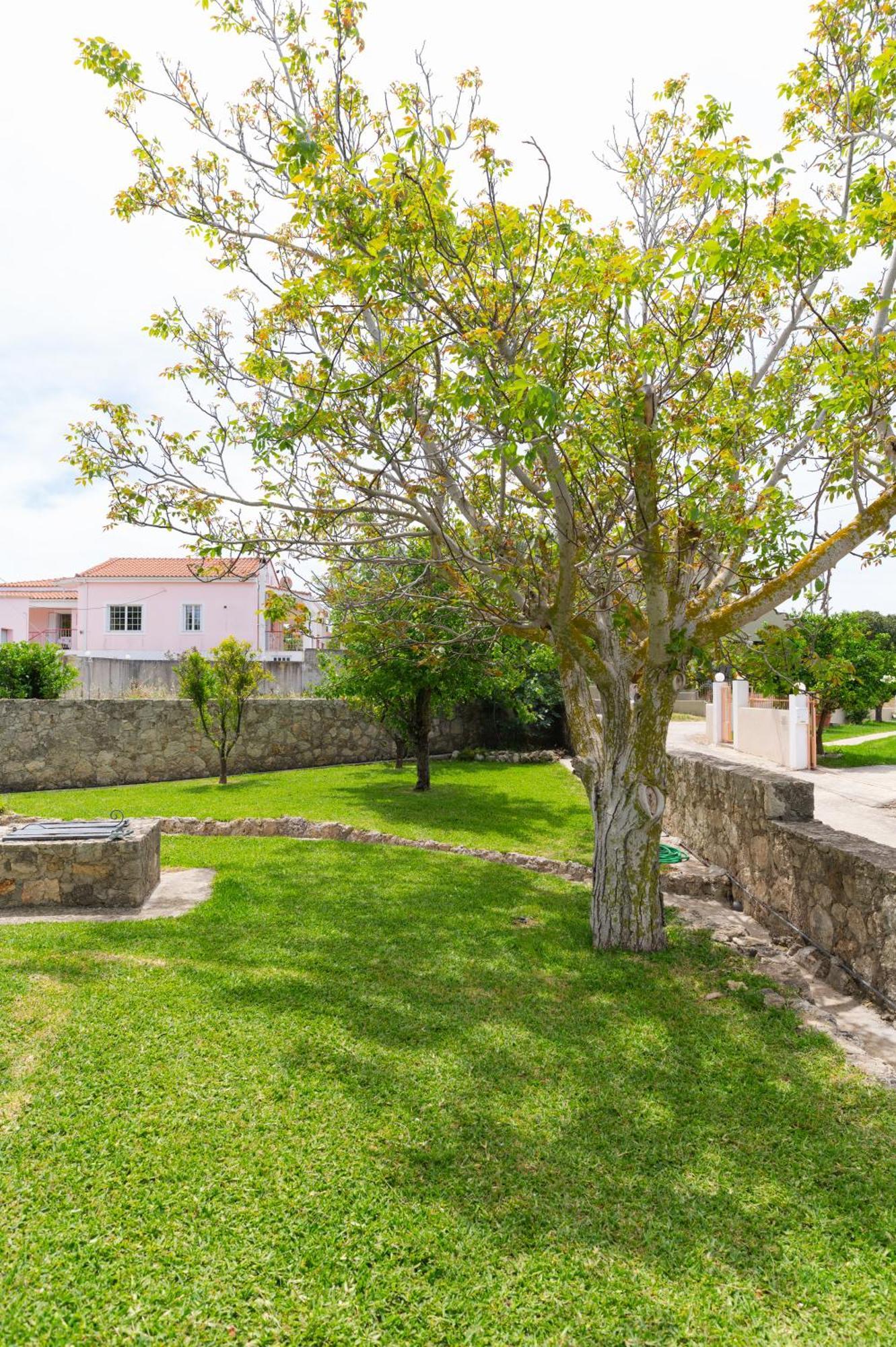Vasilopoulos Residences - Apartments Ioni & Neso Argostoli  Exterior photo